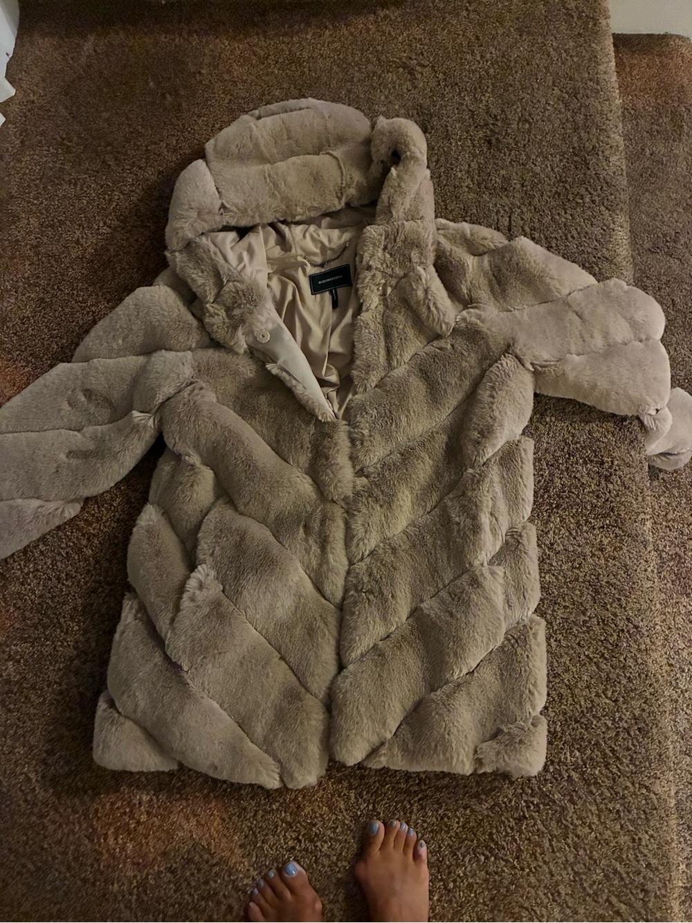 Jones New York Plush Hooded Teddy Jacket in Taupe